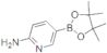 6-Aminopyridine-3-boronic acid pinacol ester