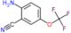 2-amino-5-(trifluoromethoxy)benzonitrile