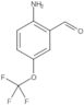 2-Amino-5-(trifluoromethoxy)benzaldehyde