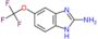 5-(trifluoromethoxy)-1H-benzimidazol-2-amine