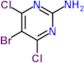 5-bromo-4,6-dichloropyrimidin-2-amine