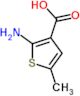 2-amino-5-methylthiophene-3-carboxylic acid