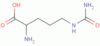 DL-2-amino-5-ureidovaleric acid