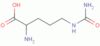 DL-Citrulline