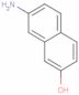 7-Amino-2-naphthalenol