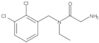 2-Amino-N-[(2,3-dichlorophenyl)methyl]-N-ethylacetamide