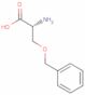 O-(Phenylmethyl)-D-serine