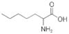 2-AMINOHEPTANOIC ACID