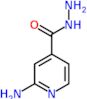 2-aminopyridine-4-carbohydrazide