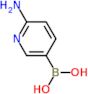 B-(6-Amino-3-pyridinyl)boronic acid