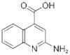 2-AMINO-QUINOLINE-4-CARBOXYLIC ACID