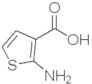 2-Amino-3-thiophenecarboxylic acid