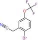 [2-bromo-5-(trifluoromethoxy)phenyl]acetonitrile