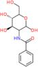 2-(Benzoylamino)-2-deoxy-D-glucopyranose