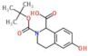 2-Boc-6-Hydroxy-1,2,3,4-Tetrahydro-Isoquinoline-1-Carboxylic Acid
