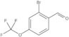 2-Bromo-4-(trifluorometoxi)benzaldehído