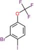 2-bromo-1-iodo-4-(trifluoromethoxy)benzene