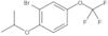 2-Bromo-1-(1-methylethoxy)-4-(trifluoromethoxy)benzene
