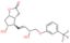 TP-2 (TV-EDI) (Travoprost)