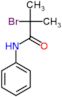 2-bromo-2-methyl-N-phenylpropanamide