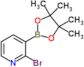 2-bromo-3-(4,4,5,5-tetramethyl-1,3,2-dioxaborolan-2-yl)pyridine