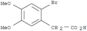 (2-bromo-4,5-dimethoxyphenyl)acetate