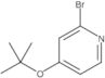 2-Bromo-4-(1,1-dimethylethoxy)pyridine