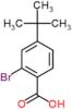 2-bromo-4-tert-butylbenzoic acid