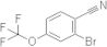 2-Bromo-4-(Trifluoromethoxy)benzonitrile