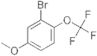 3-bromo-4-trifluoromethoxyanisole