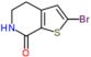 2-bromo-5,6-dihydro-4H-thieno[2,3-c]pyridin-7-one