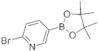 2-Bromo-5-pyridylboronic acid pinacol ester