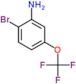 2-bromo-5-(trifluoromethoxy)aniline