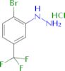 [2-bromo-5-(trifluoromethyl)phenyl]hydrazine hydrochloride