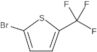 2-Bromo-5-(trifluoromethyl)thiophene