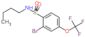 2-Bromo-N-butyl-4-(trifluoromethoxy)benzenesulfonamide