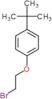 1-(2-bromoethoxy)-4-tert-butylbenzene