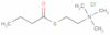 N,N,N-Trimethyl-2-[(1-oxobutyl)thio]Ethanaminium chloride (1:1)