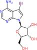 5-bromo-7-(beta-D-ribofuranosyl)-7H-pyrrolo[2,3-d]pyrimidin-4-amine