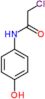 2-chloro-N-(4-hydroxyphenyl)acetamide