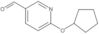 6-(Cyclopentyloxy)-3-pyridinecarboxaldehyde