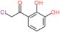 2-chloro-1-(2,3-dihydroxyphenyl)ethanone