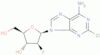 Clofarabine