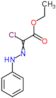 ethyl chloro(2-phenylhydrazinylidene)acetate
