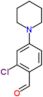 2-chloro-4-piperidin-1-ylbenzaldehyde