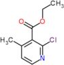 ethyl 2-chloro-4-methylpyridine-3-carboxylate