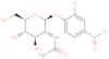 2-chloro-4-nitrophényl-N-acétyl-beta-D-glucosaminide