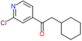 1-(2-chloro-4-pyridyl)-2-cyclohexyl-ethanone