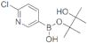 2-Chloro-5-pyridylboronic acid pinacol ester