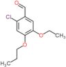 2-chloro-5-ethoxy-4-propoxybenzaldehyde